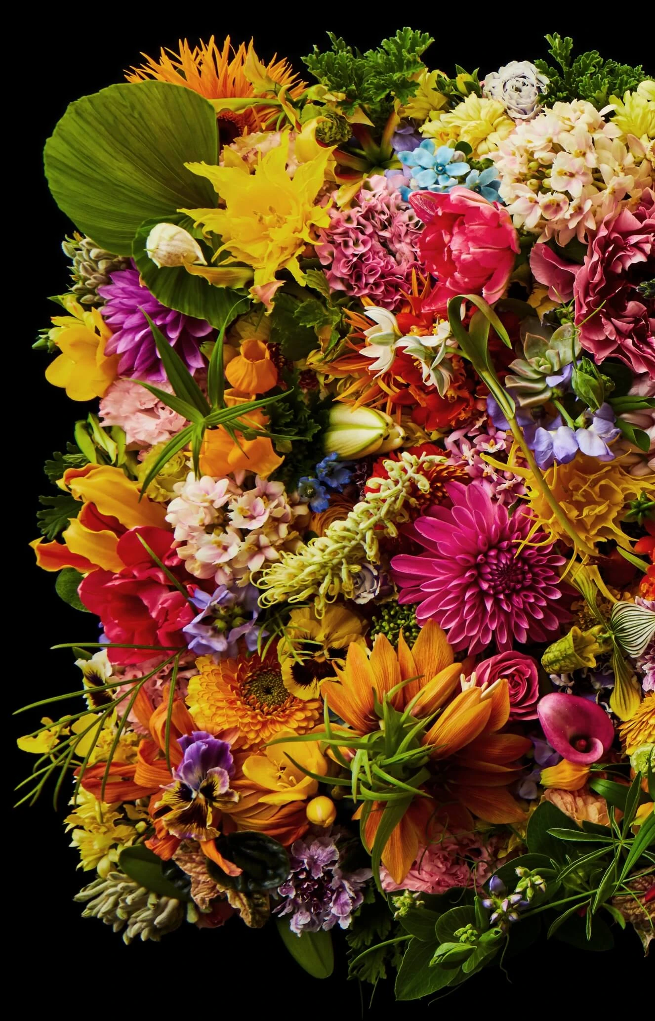 色鮮やかな花々の画像