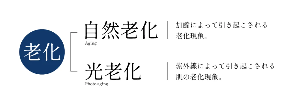 光老化は紫外線によって肌が老化する現象