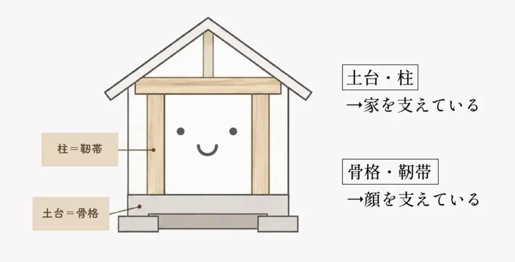 ヒアルロン酸の年代別優先順位
