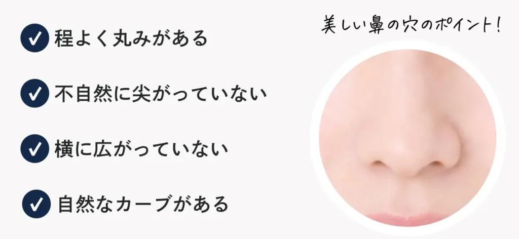 鼻の穴の見え方