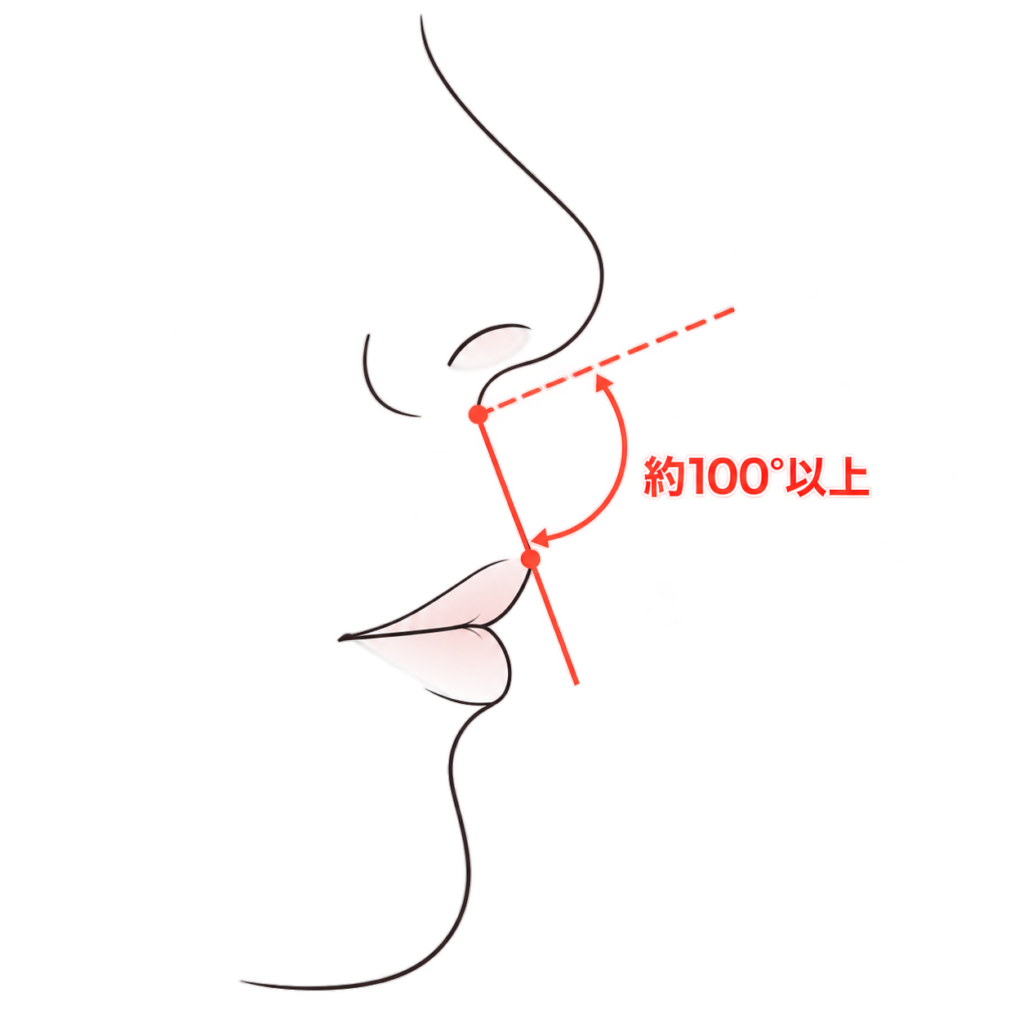 豚鼻_図解